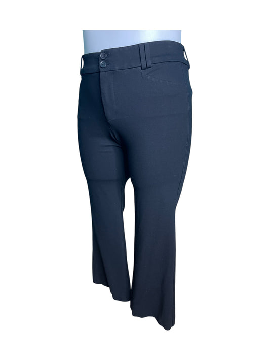 Nacy Blue Flaired Pants