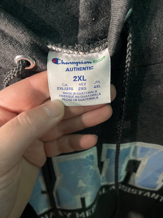 Grey Nait Graphic Hoodie (well loved)