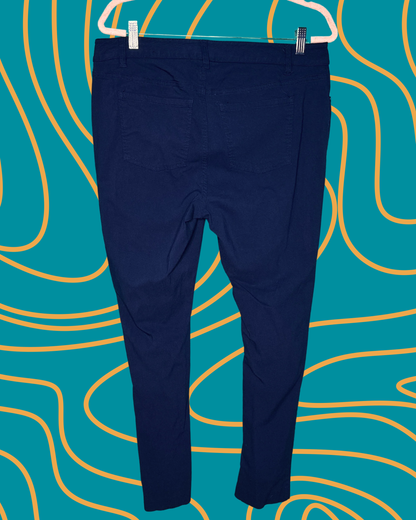 Navy Skinny Legged Pants