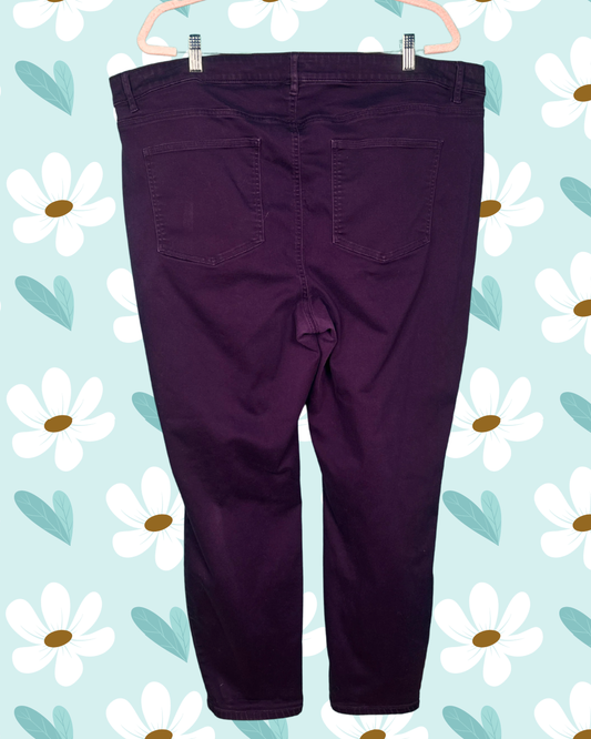 Burgundy Skinny Pants