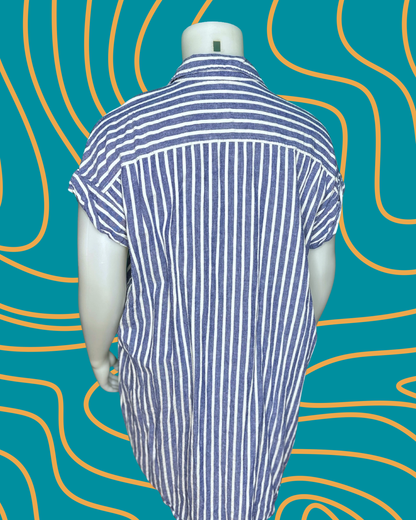 Blue & White Vertical Cap Sleeved Button up  Dress