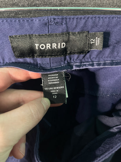 Navy Skinny Legged Pants