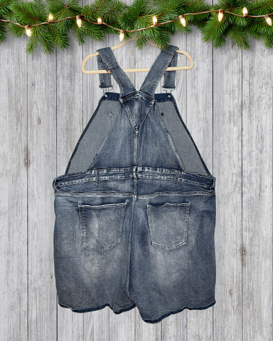 Light Blue Distressed Shorts Overalls
