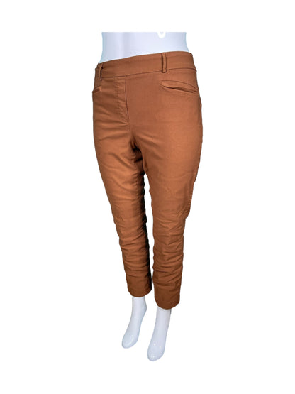 Burnt Orange  Pants