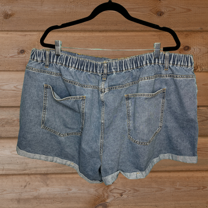 Light Blue Denim w/ Purple Embroidered Pink Hearts Shorts