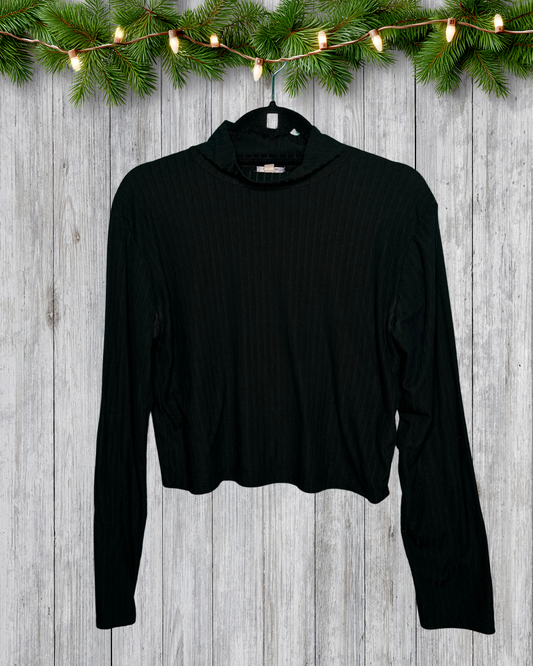 Black Mock Neck Long Sleeved Crop Top