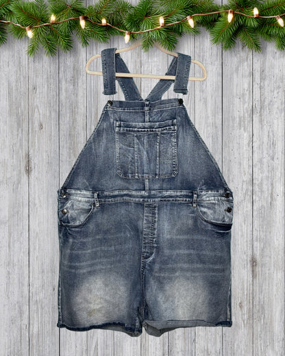 Light Blue Distressed Shorts Overalls