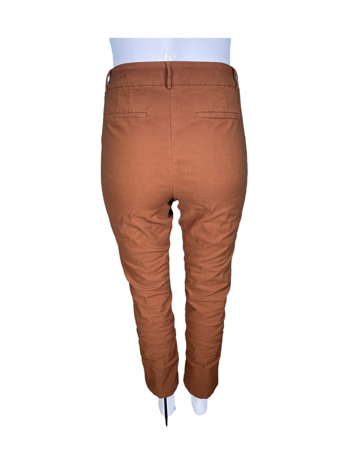 Burnt Orange  Pants