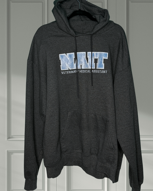 Grey Nait Graphic Hoodie (well loved)